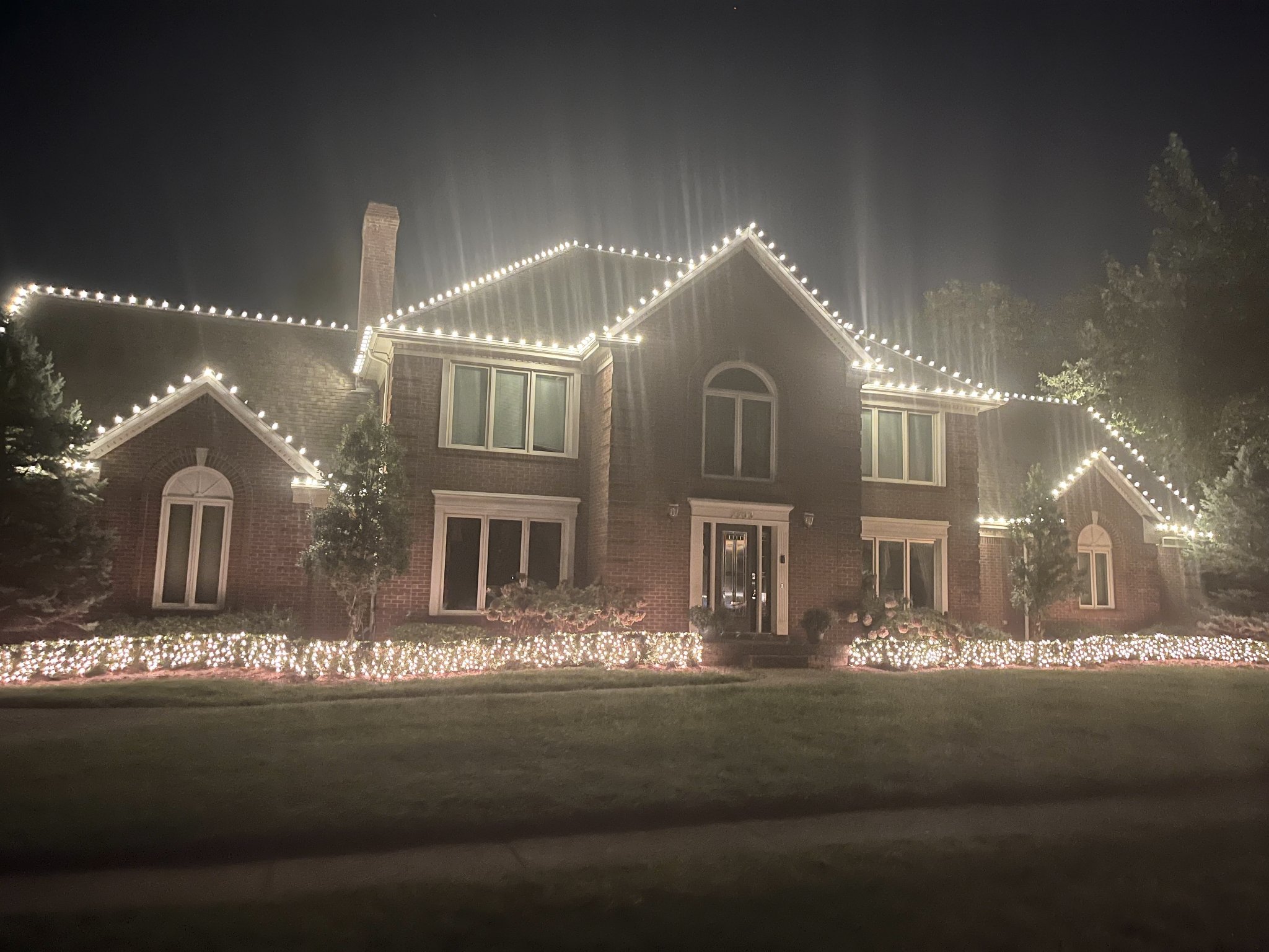 Tree & Shrub Lighting